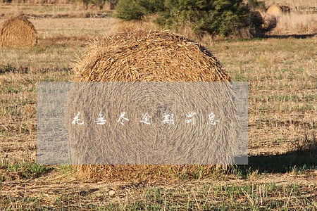 花无尽逾期罚息 花无尽逾期罚息
