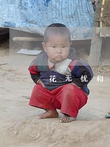 花无忧和有个钱包逾期 花无忧和有个钱包逾期