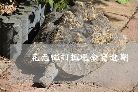 花无忧打扰现金贷逾期 花无忧打扰现金贷逾期
