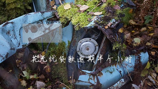 花无忧贷款逾期半个小时 花无忧贷款逾期半个小时