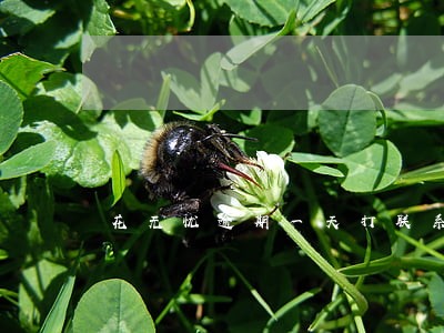 花无忧逾期一天打联系人吗 花无忧逾期一天打联系人吗