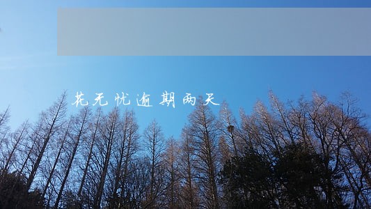 花无忧逾期两天 花无忧逾期两天