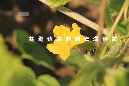 花无忧逾期两天滞纳金 花无忧逾期两天滞纳金