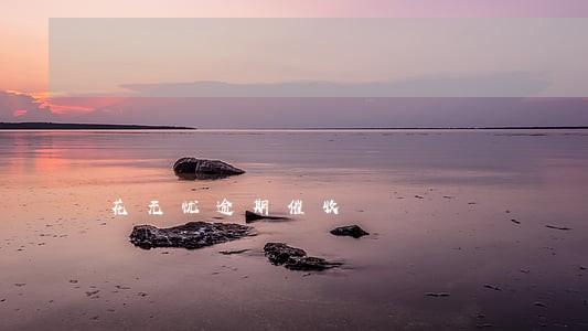 花无忧逾期催收 花无忧逾期催收