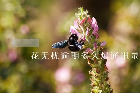 花无忧逾期多久爆通讯录 花无忧逾期多久爆通讯录
