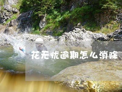 花无忧逾期怎么消除 花无忧逾期怎么消除