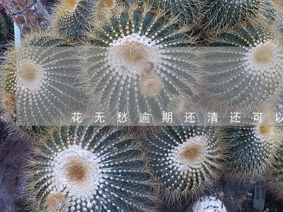 花无愁逾期还清还可以借嘛 花无愁逾期还清还可以借嘛