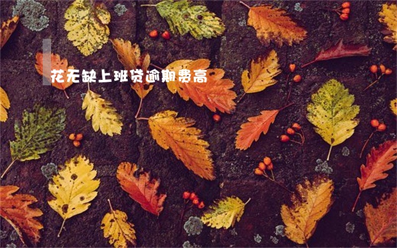 花无缺上班贷逾期费高