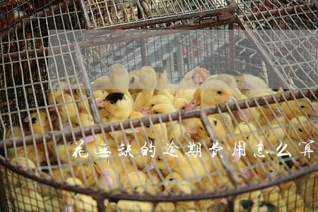 花无缺的逾期费用怎么算 花无缺的逾期费用怎么算