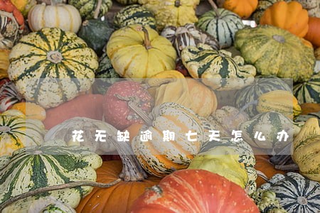 花无缺逾期七天怎么办 花无缺逾期七天怎么办