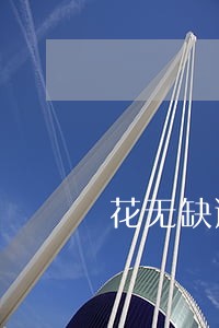 花无缺逾期会上征信 花无缺逾期会上征信