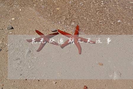 花无缺逾期几天没事 花无缺逾期几天没事