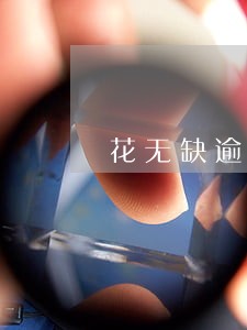 花无缺逾期发短信轰炸