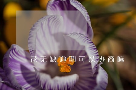 花无缺逾期可以协商嘛 花无缺逾期可以协商嘛