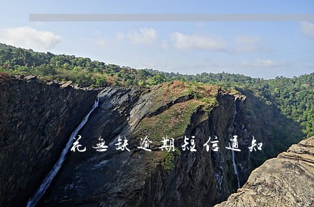 花无缺逾期短信通知 花无缺逾期短信通知