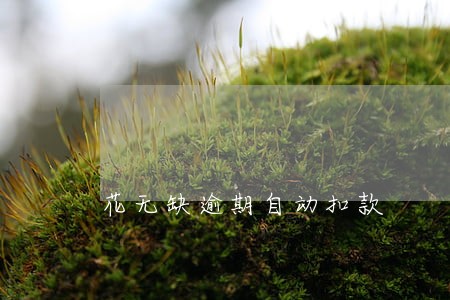 花无缺逾期自动扣款 花无缺逾期自动扣款