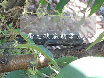 花无缺逾期要求还全款 花无缺逾期要求还全款