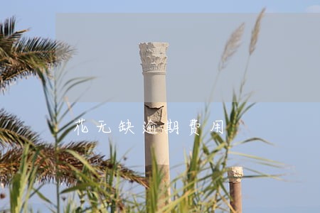 花无缺逾期费用 花无缺逾期费用
