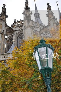 花无缺逾期费用多少 花无缺逾期费用多少