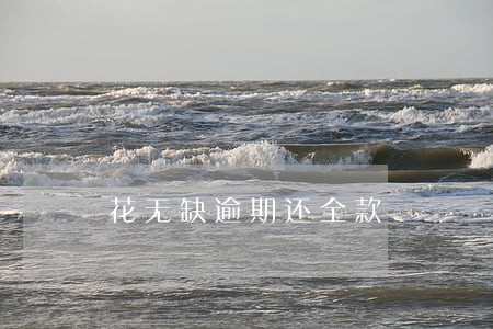 花无缺逾期还全款 花无缺逾期还全款