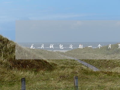 花月钱包逾期一个月了 花月钱包逾期一个月了