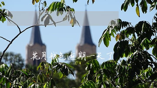 花月钱包逾期一天了 花月钱包逾期一天了