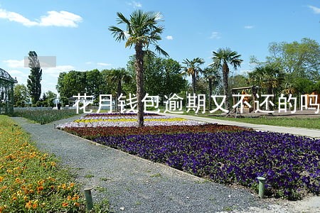 花月钱包逾期又不还的吗