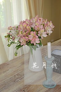 花月钱包逾期怎么没骚扰电话 花月钱包逾期怎么没骚扰电话