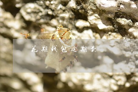 花期钱包逾期费 花期钱包逾期费