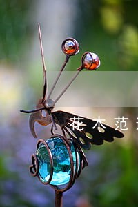 花木范逾期两天怎么办 花木范逾期两天怎么办