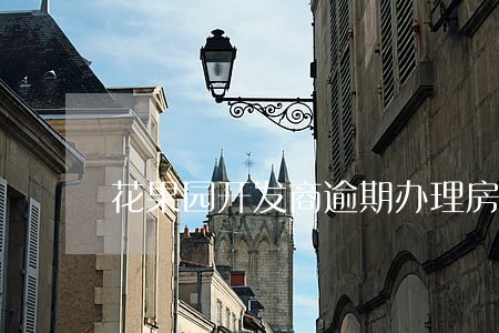 花果园开发商逾期办理房产证 花果园开发商逾期办理房产证