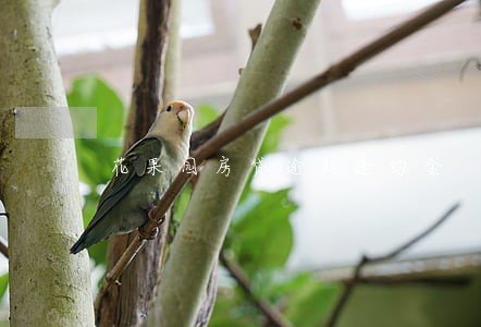 花果园房贷逾期违约金 花果园房贷逾期违约金