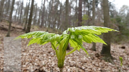 花果金融严重逾期 花果金融严重逾期