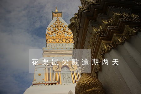 花栗鼠欠款逾期两天 花栗鼠欠款逾期两天