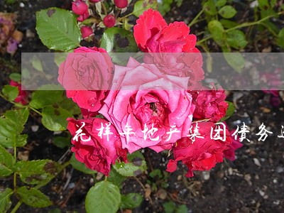 花样年地产集团债务逾期怎么办 花样年地产集团债务逾期怎么办