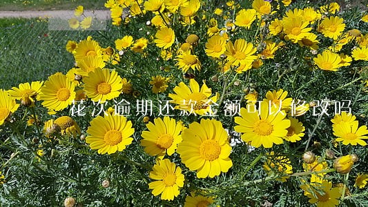 花次逾期还款金额可以修改吗 花次逾期还款金额可以修改吗