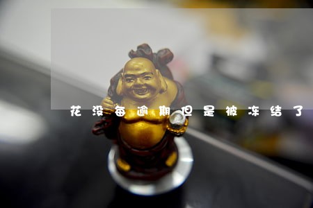 花没每逾期但是被冻结了 花没每逾期但是被冻结了