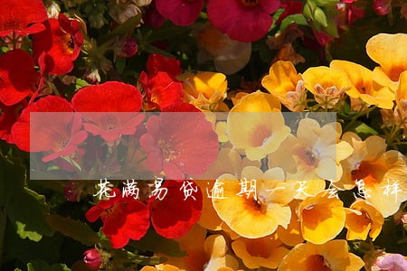 花满易贷逾期一天会怎样 花满易贷逾期一天会怎样