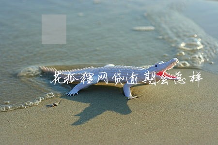 花狐狸网贷逾期会怎样 花狐狸网贷逾期会怎样