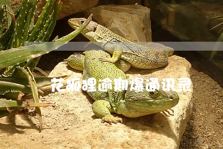 花狐狸逾期爆通讯录 花狐狸逾期爆通讯录