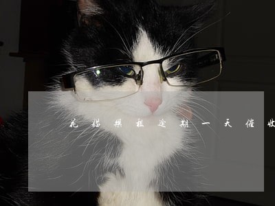 花猫乐租逾期一天催收 花猫乐租逾期一天催收