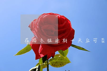 花猫乐租逾期一天后可否再申请 花猫乐租逾期一天后可否再申请
