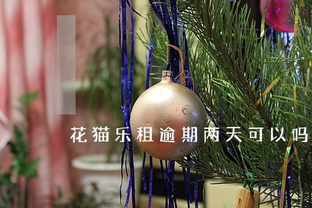 花猫乐租逾期两天可以吗 花猫乐租逾期两天可以吗