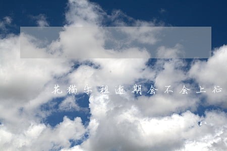 花猫乐租逾期会不会上征信 花猫乐租逾期会不会上征信