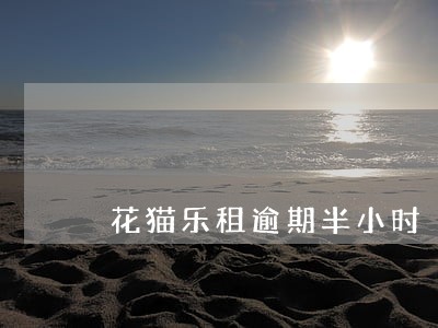 花猫乐租逾期半小时 花猫乐租逾期半小时