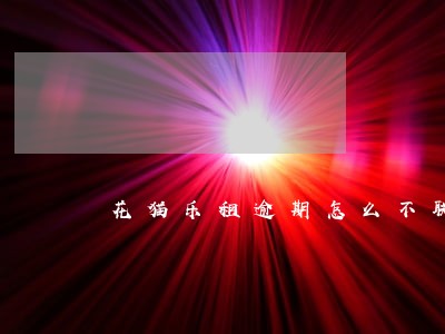 花猫乐租逾期怎么不联系我 花猫乐租逾期怎么不联系我