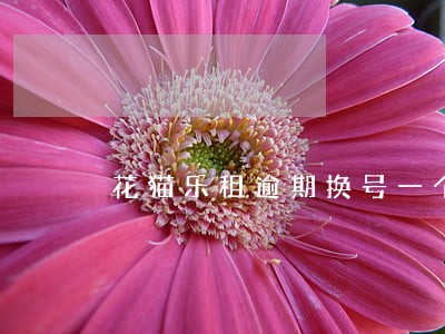 花猫乐租逾期换号一个月 花猫乐租逾期换号一个月