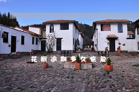 花瓣逾期多久恢复 花瓣逾期多久恢复