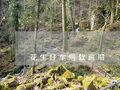 花生好车借款逾期 花生好车借款逾期