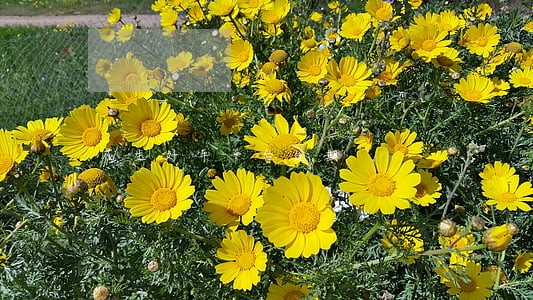 花生好车平台逾期 花生好车平台逾期